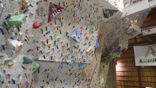 愛媛県のクライミング施設「クライミングウォール Ascent Ray（アッセントレイ）」